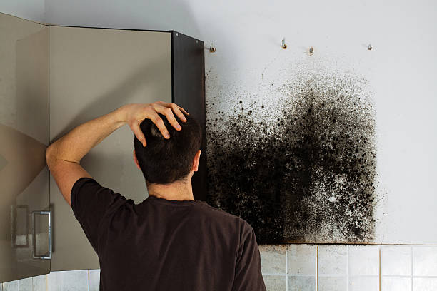 Best Office Mold Removal Services  in Pikeville, TN